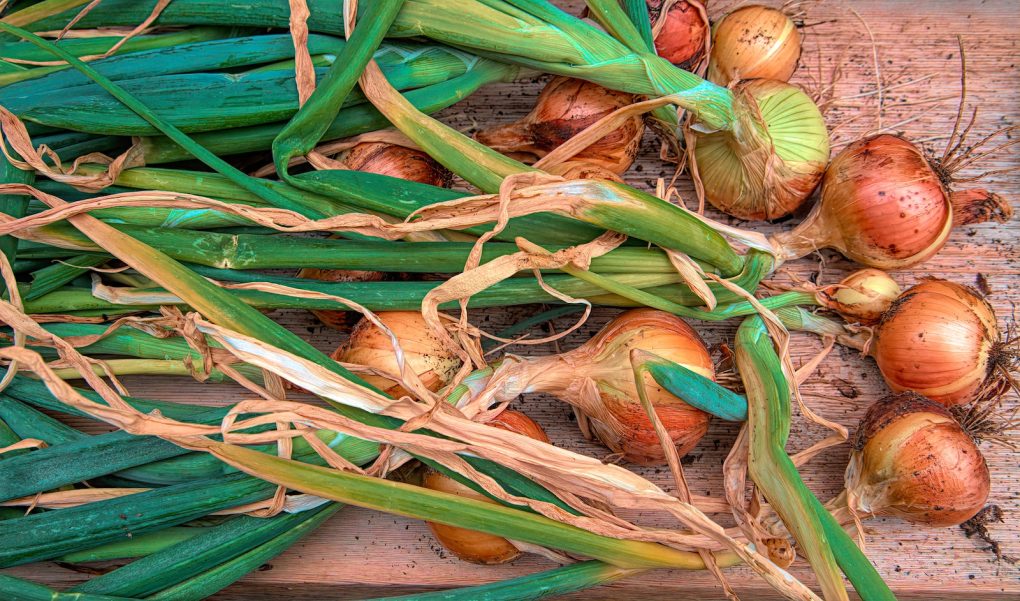 green and orange chili on brown wooden table